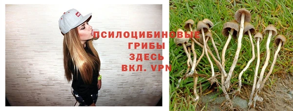соль курить ск Зеленокумск