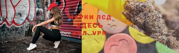 сатива Зеленодольск